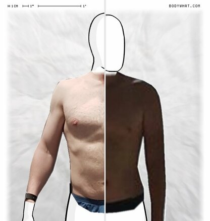 Torso Comparison