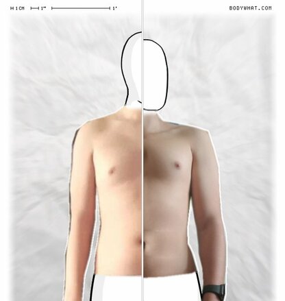 Torso Comparison