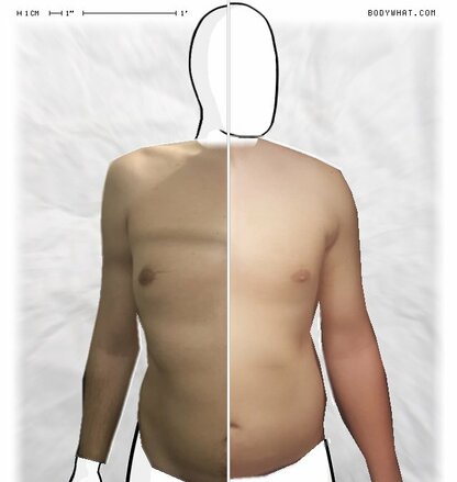 Torso Comparison