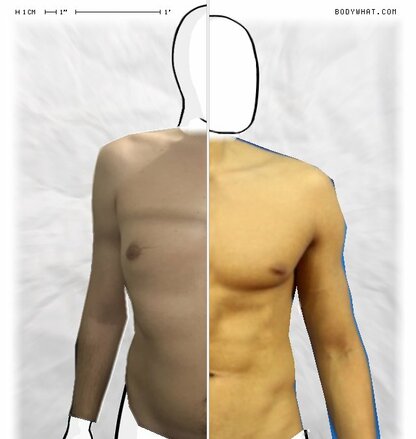 Torso Comparison