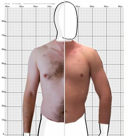 Torso Comparison