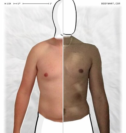 Torso Comparison