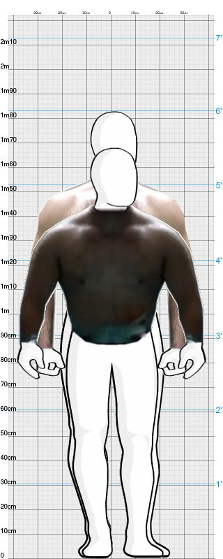 Full Size Comparison