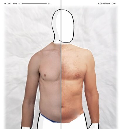 Torso Comparison