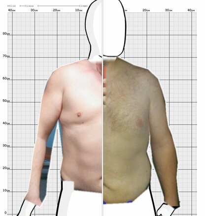 Torso Comparison