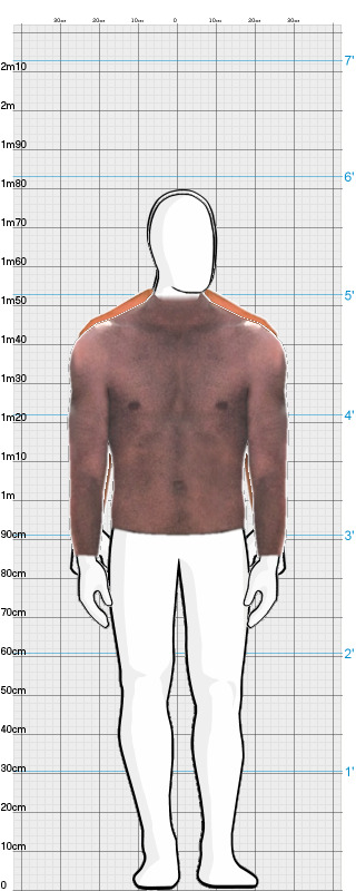 Full Size Comparison