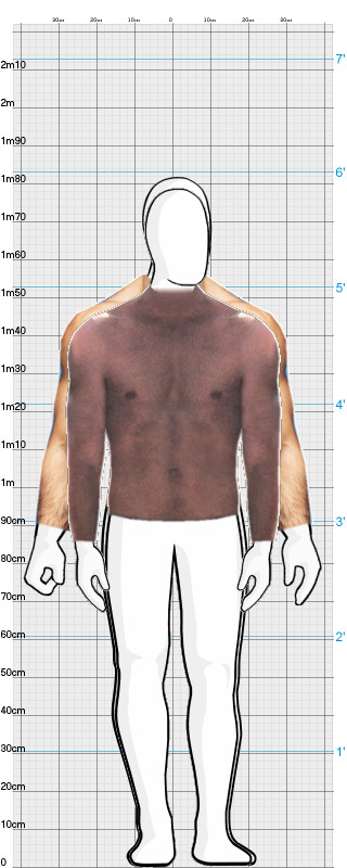 Full Size Comparison