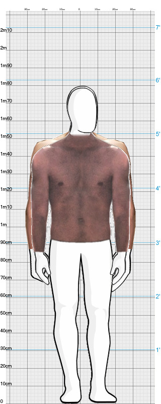 Full Size Comparison