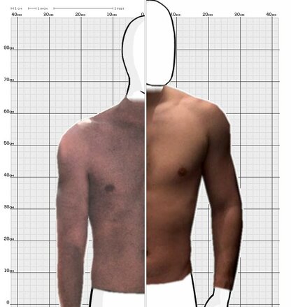 Torso Comparison