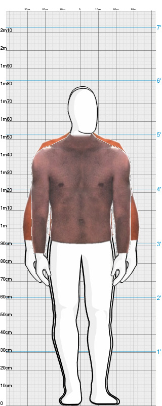 Full Size Comparison