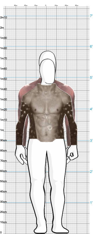 Full Size Comparison