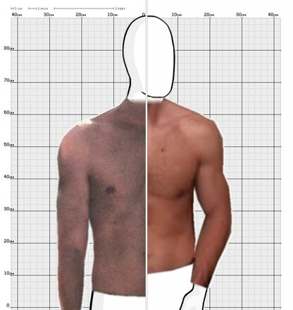 Torso Comparison