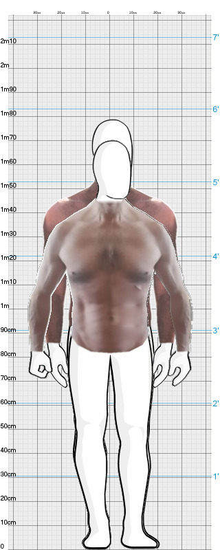 Full Size Comparison