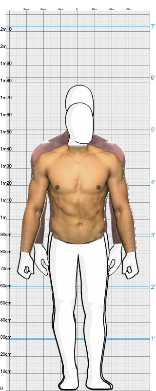 Full Size Comparison