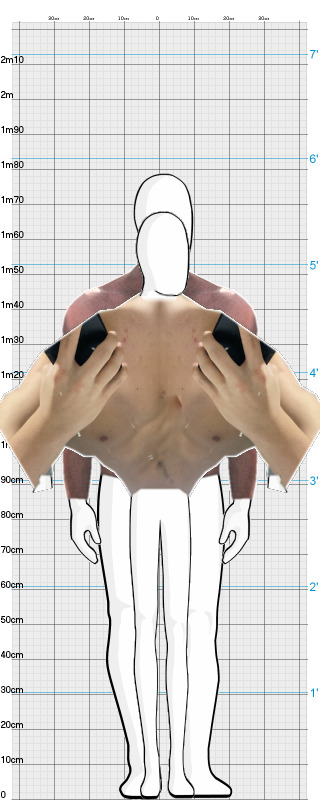 Full Size Comparison