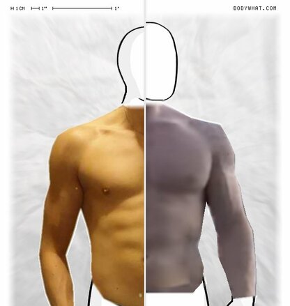 Torso Comparison