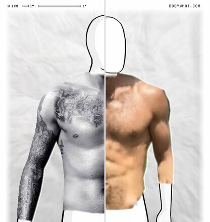 Torso Comparison