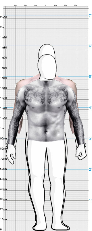 Full Size Comparison