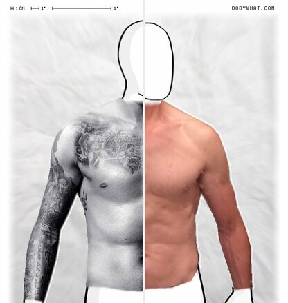 Torso Comparison