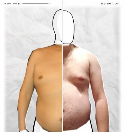 Torso Comparison