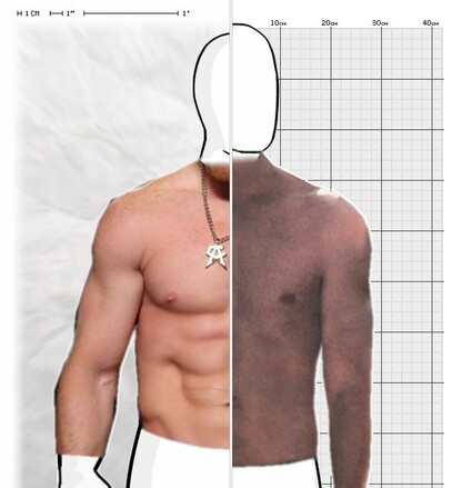 Torso Comparison