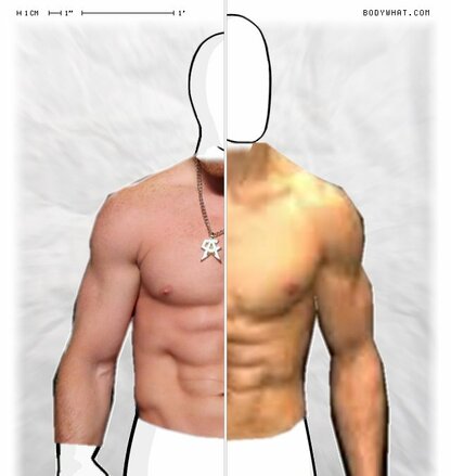 Torso Comparison