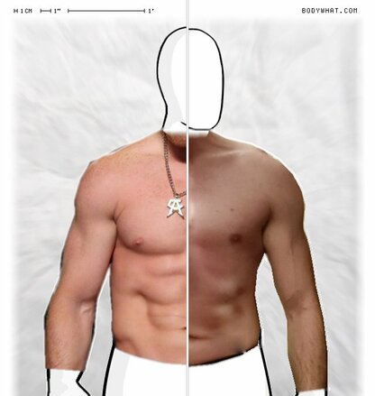 Torso Comparison