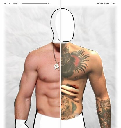 Torso Comparison