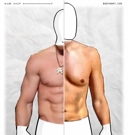 Torso Comparison