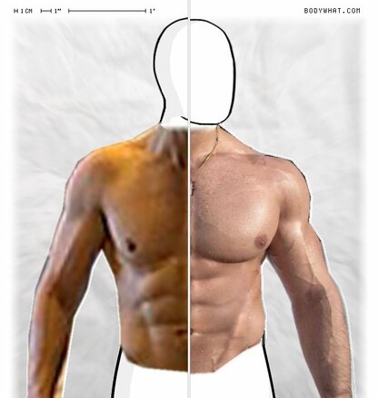 Torso Comparison