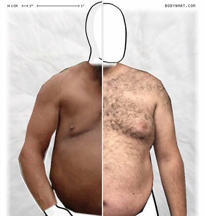 Torso Comparison