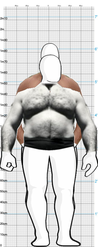 Full Size Comparison