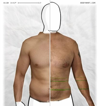 Torso Comparison