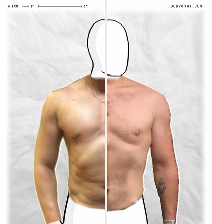 Torso Comparison