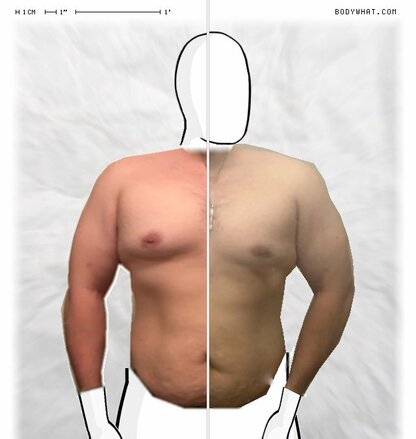 Torso Comparison
