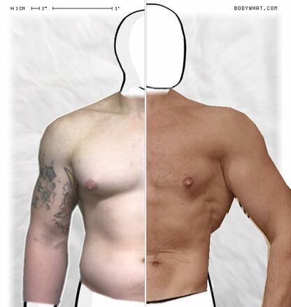 Torso Comparison