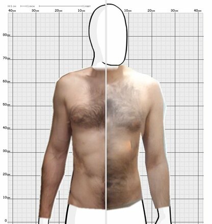 Torso Comparison