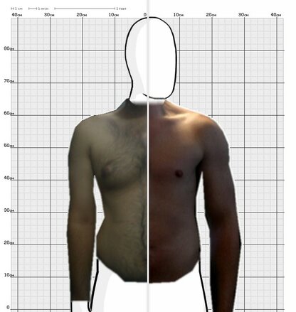 Torso Comparison