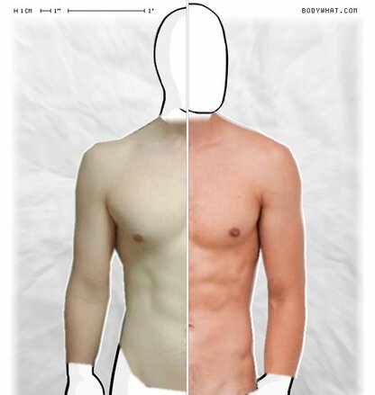 Torso Comparison