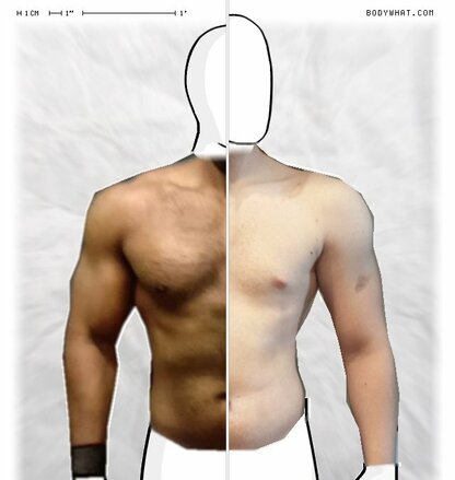 Torso Comparison