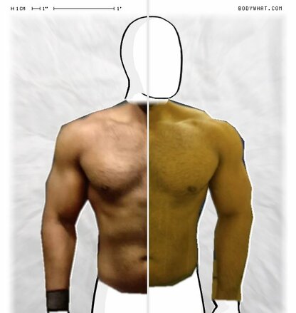 Torso Comparison