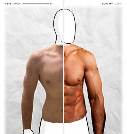 Torso Comparison