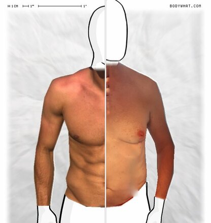Torso Comparison