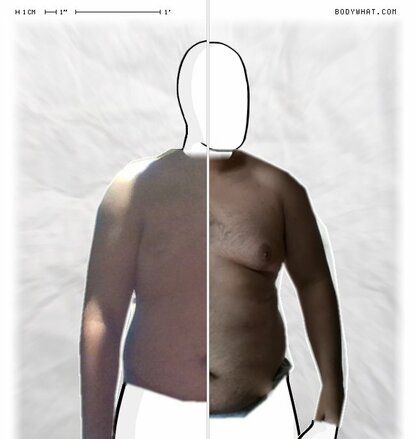 Torso Comparison