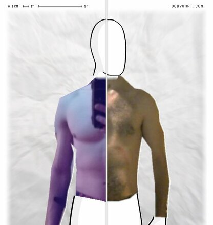 Torso Comparison
