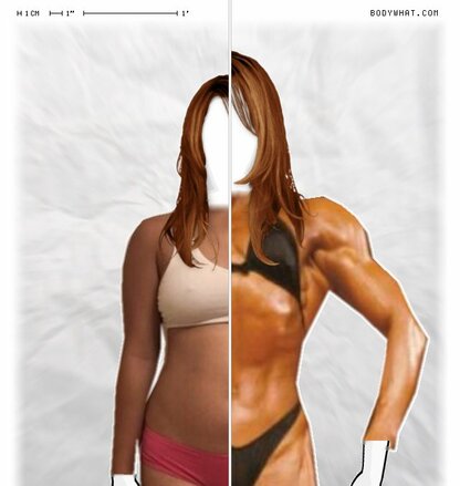 Torso Comparison