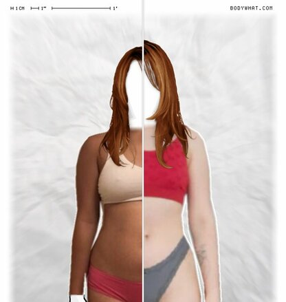 Torso Comparison