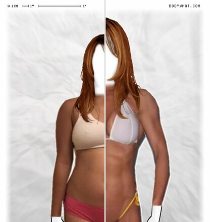 Torso Comparison