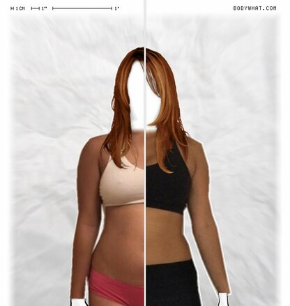 Torso Comparison