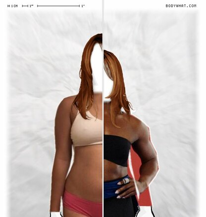 Torso Comparison